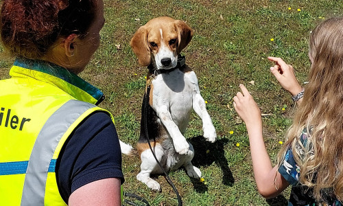 Die Rettungshundestaffel zeigt beim Ferienprogramm das Können der Hunde.