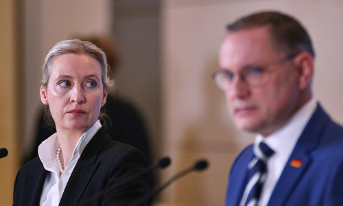 Alice Weidel und Tino Chrupalla (Archiv)