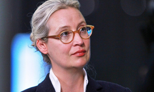 Alice Weidel (Archiv)