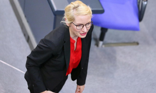 Ines Schwerdtner (Archiv)