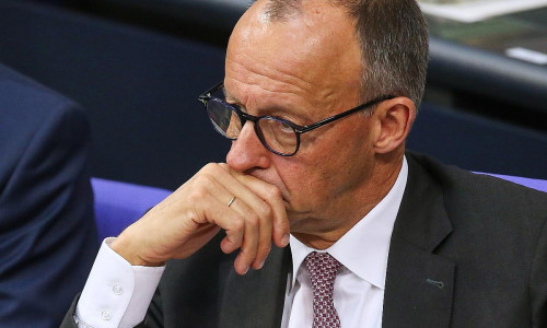 Friedrich Merz (Archiv)