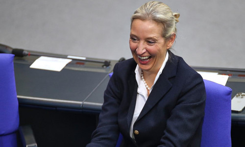 Alice Weidel (Archiv)