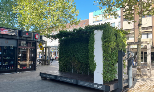 In der mittleren Porschestraße ist eine grüne Oase entstanden. 