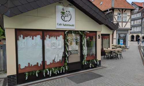 Morgen soll das Café Katzenwald in der Löwenstraße öffnen. 