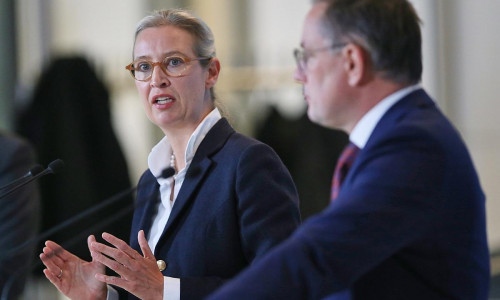 Alice Weidel und Tino Chrupalla (Archiv)