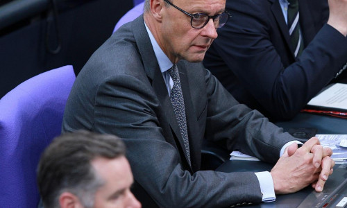 Friedrich Merz und Christian Dürr im letzten Bundestag (Archiv)