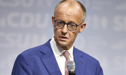 Friedrich Merz (Archiv)