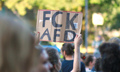 Protest gegen die AfD (Archiv)