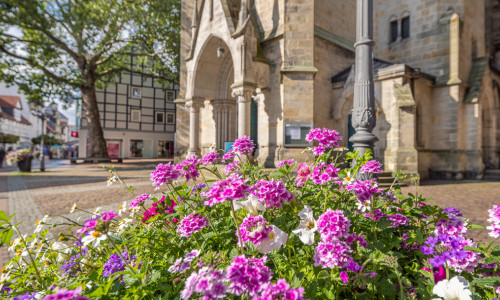 Das Förderprojekt erhöht mit Blumeninseln die Aufenthaltsqualität in der Peiner Innenstadt.