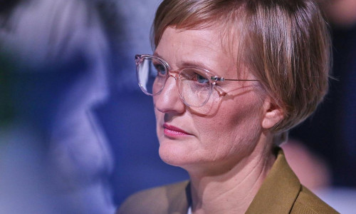 Franziska Brantner (Archiv)