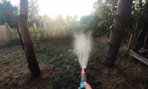 Rasen wird mit Wasser besprengt (Archiv)