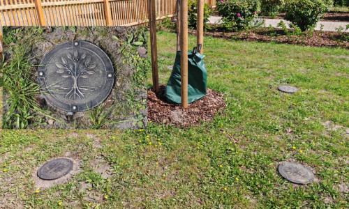 Baum-Urnengräber: In einem "Rohr" können bis zu vier Urnen beigesetzt werden.