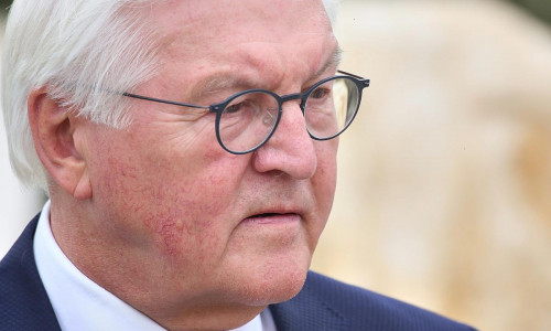 Frank-Walter Steinmeier (Archiv)
