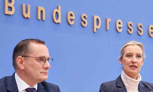 Tino Chrupalla und Alice Weidel (Archiv)