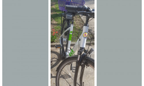 Foto des entwendeten E-Bikes.