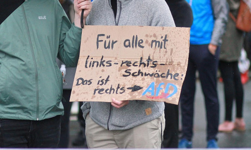 Protest gegen die AfD (Archiv)