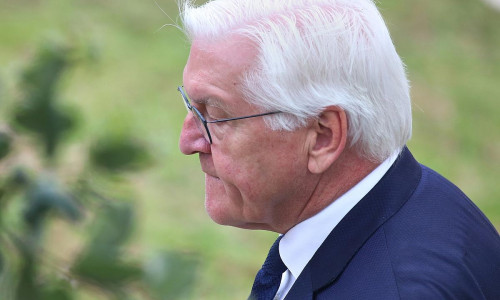 Frank-Walter Steinmeier (Archiv)