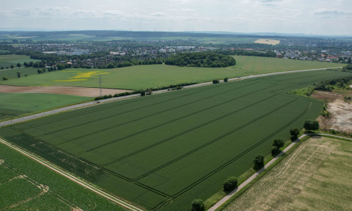 Wir gehen der Frage nach: Heißt es Wendesser Berg oder Wendessener Berg? 