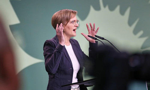 Franziska Brantner (Archiv)