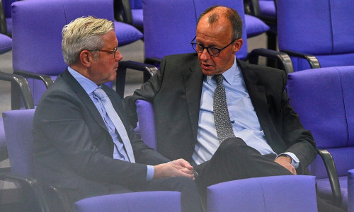 Norbert Röttgen und Friedrich Merz (Archiv)