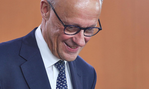 Friedrich Merz (Archiv)