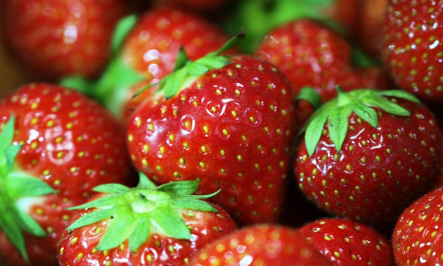 Erdbeeren (Archiv)