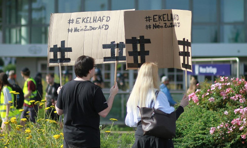 Protest gegen die AfD (Archiv)