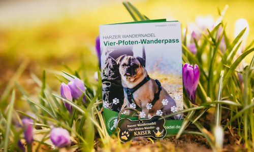 Wandern mit Hund ist im Harz längst keine Seltenheit mehr – jetzt gibt es auch den passenden Stempelpass für die vierbeinigen Begleiter: den Vier-Pfoten-Wanderpass.