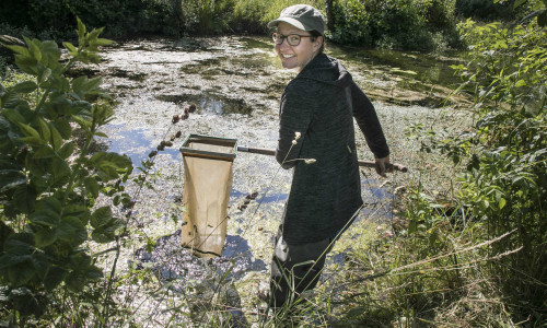 Dr. Diana Goertzen in ihrem Element – dem Wasser. Die Diplom-Biologin der TU Braunschweig untersucht die Gewässergüte in den städtischen Flüssen und Bächen. Der jüngste Bericht zeigt: Den Braunschweiger Fließgewässern geht es gut.
