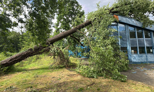 Ein schweres Unwetter hat am Donnerstag die Gemeinde Lehre getroffen.