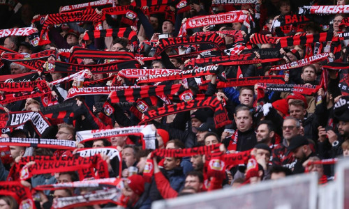 Fans von Bayer Leverkusen (Archiv)