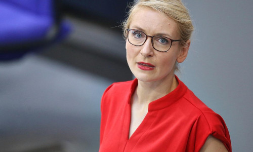 Ines Schwerdtner (Archiv)