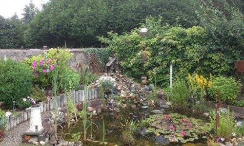 Naturfreunde sind bei der Offenen Pforte Peine auch in den Garten der Familie Radtke eingeladen.