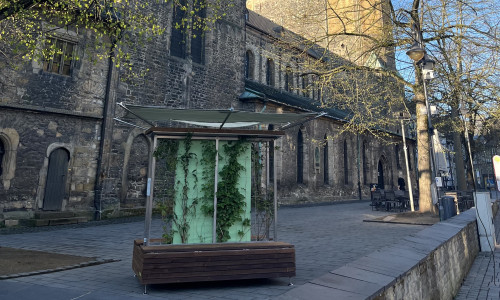 Die "Grüne Bank" an der Marktkirche lädt zum Verweilen im kühlen Schatten ein.