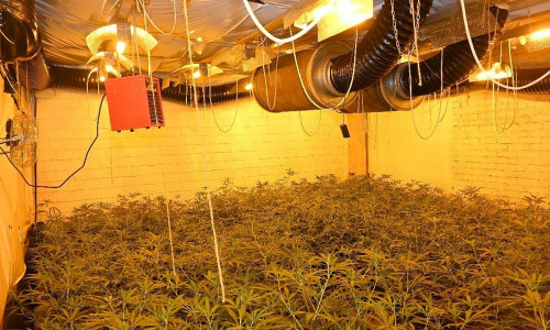 Plantage (Archiv)