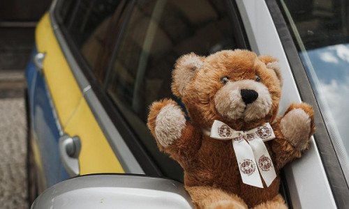 Teddy-Bär auf Streifenwagen (Archiv)