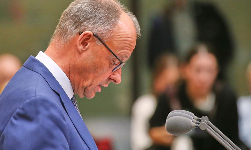 Friedrich Merz am 11.07.2025
