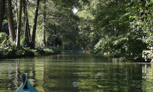 Spreewald (Archiv)