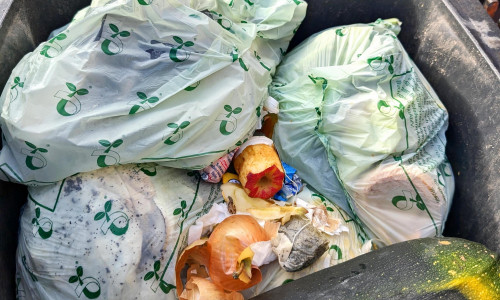 Sind kein Vorteil für die Umwelt: Bioplastikbeutel. Stattdessen Zeitungspapier oder kompostierbare Papiertüten verwenden. 