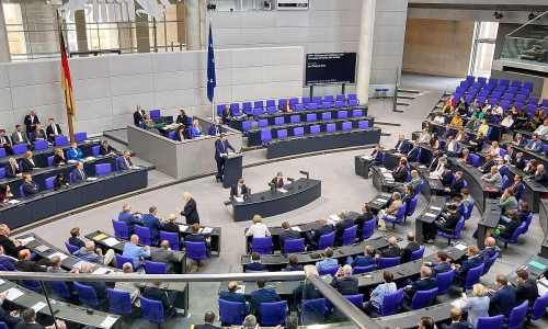 Bundestagssitzung (Archiv)