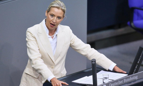 Alice Weidel am 09.07.2025