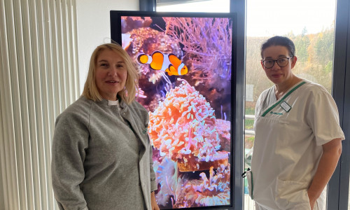 Olga Magdea, Chefärztin der Geriatrie in der Asklepios Schildautal-Klinik und Regina Wand, Pflegebereichsleitung der Schildautal-Klinik
