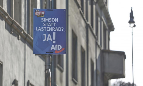 AfD-Wahlplakat zur Landtagswahl in Thüringen 2024 (Archiv)