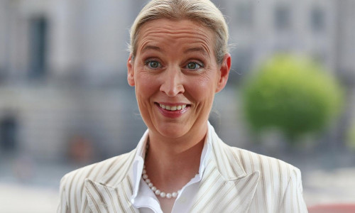 Alice Weidel am 20.07.2025