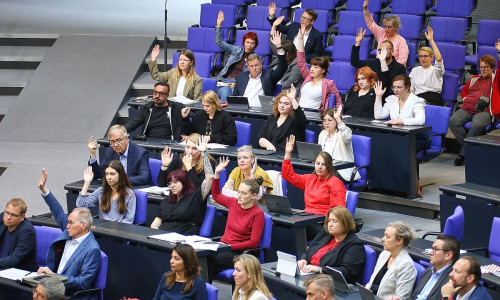 Linke-Bundestagsfraktion (Archiv)