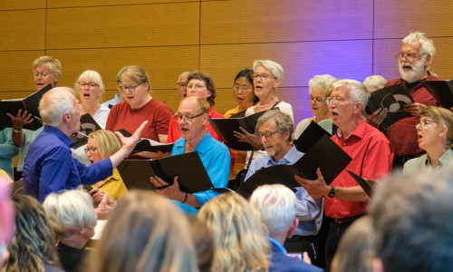 Unter der Leitung von Kuno Galter sang der Chor eine vergnügliche Parodie auf eine Opernszene und musikalische Fachbegriffe.