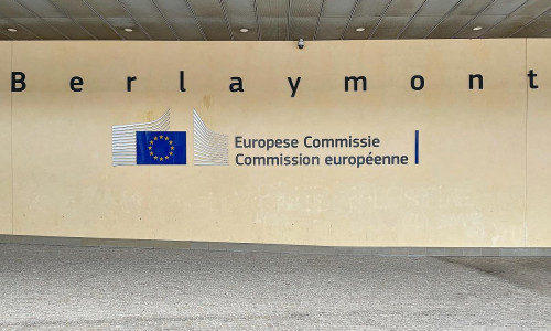 EU-Fahnen (Archiv)