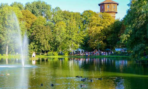 Zahlreiche Enten leben auch am Stadtgraben.
