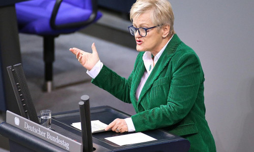Renate Künast (Archiv)