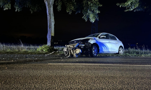 Bei dem Unfall wurde der Motorblock aus dem Auto gerissen.